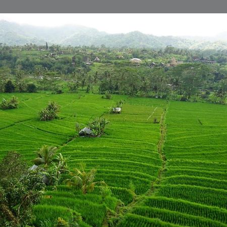 Lumbung Ayu Sari And Spa Sidemen  Bagian luar foto