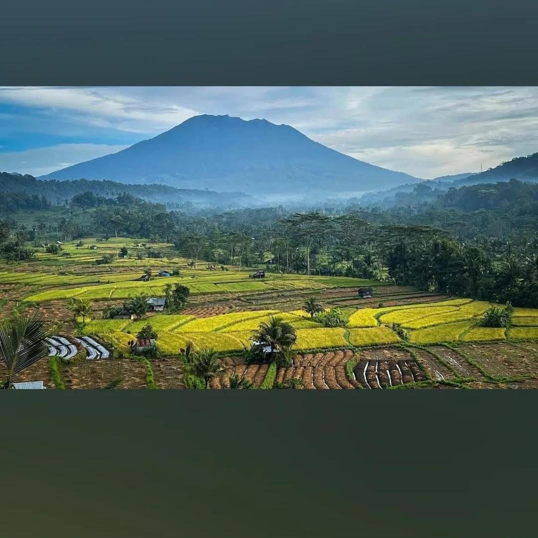 Lumbung Ayu Sari And Spa Sidemen  Bagian luar foto