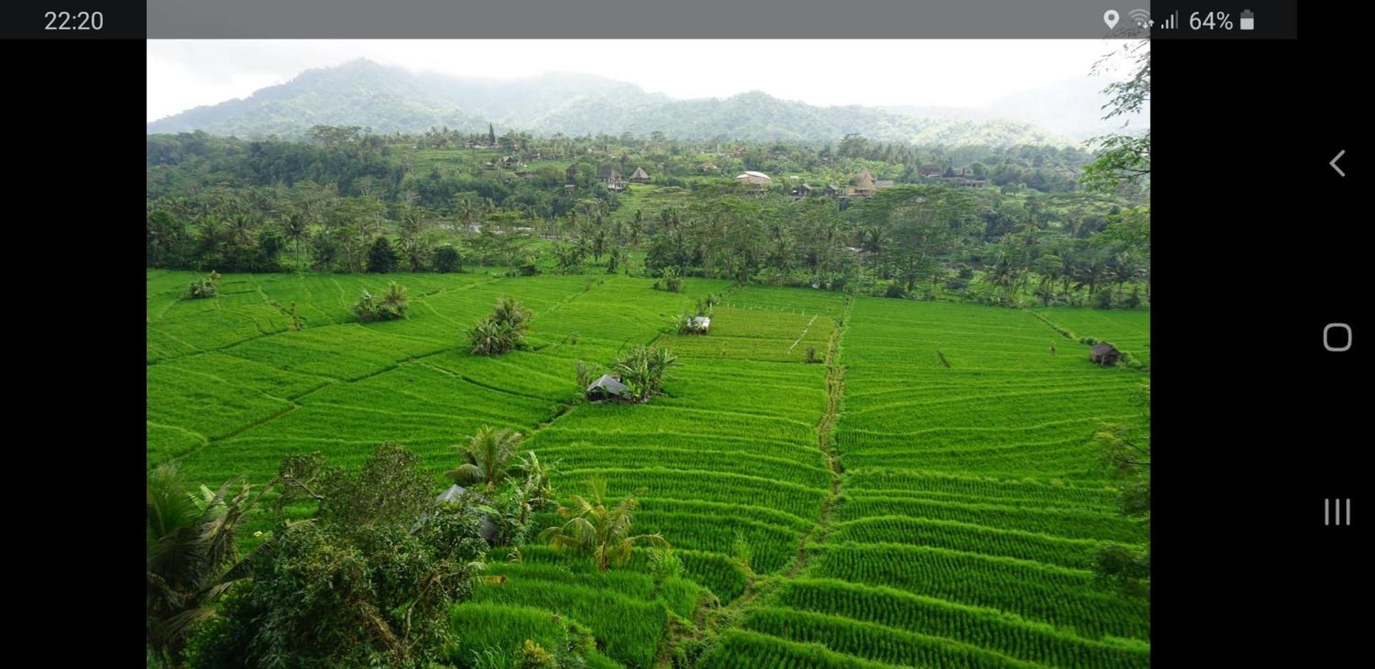 Lumbung Ayu Sari And Spa Sidemen  Bagian luar foto