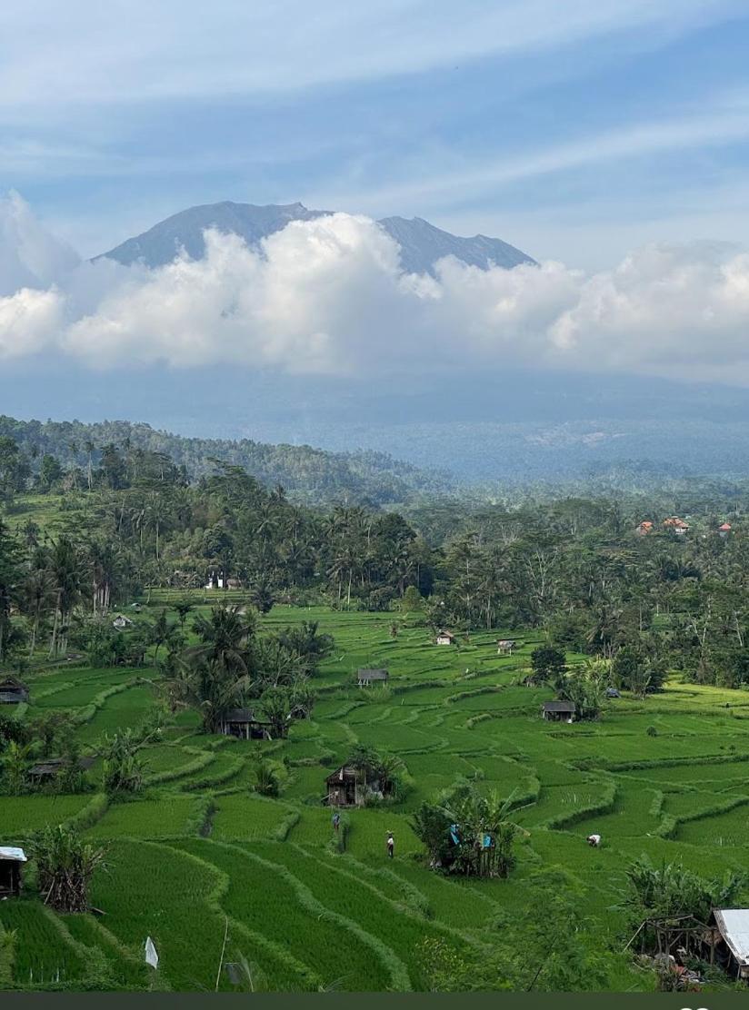 Lumbung Ayu Sari And Spa Sidemen  Bagian luar foto