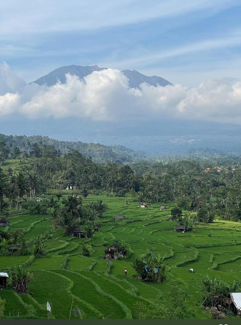 Lumbung Ayu Sari And Spa Sidemen  Bagian luar foto