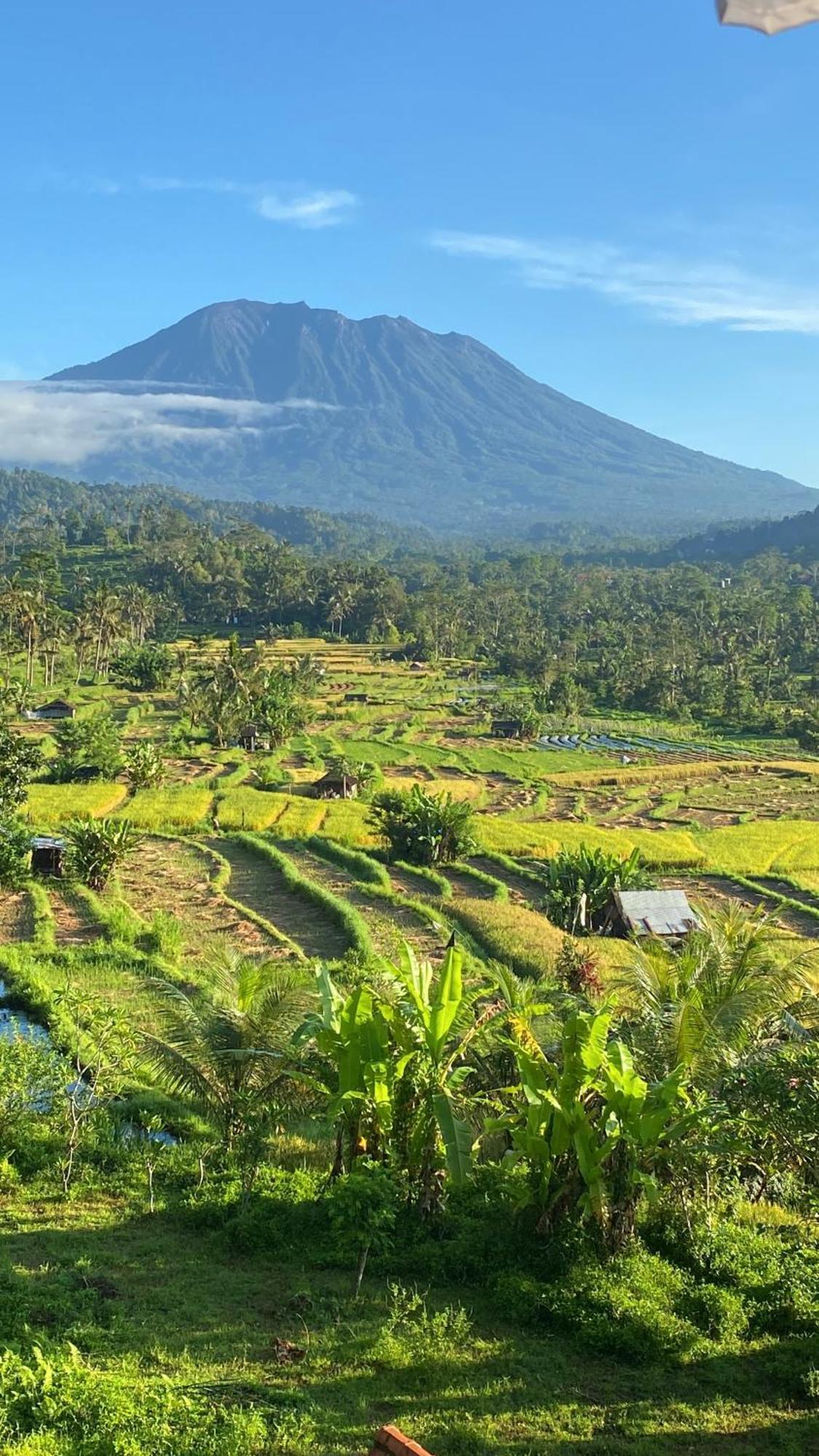 Lumbung Ayu Sari And Spa Sidemen  Bagian luar foto